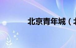 北京青年城（北京青年 小说）