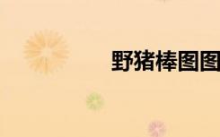野猪棒图图片大全可爱