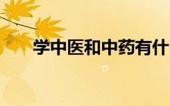 学中医和中药有什么区别 有哪些不同