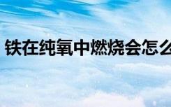 铁在纯氧中燃烧会怎么样（铁在纯氧中燃烧）