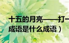十五的月亮——打一成语（十五的月亮打一成语是什么成语）