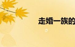 走婚一族的意思是什么