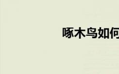 啄木鸟如何画简笔画？