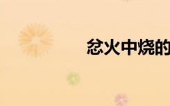 忿火中烧的意思是什么