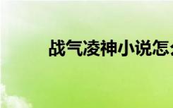 战气凌神小说怎么样（战气凌神）