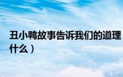 丑小鸭故事告诉我们的道理（丑小鸭故事告诉我们的道理是什么）