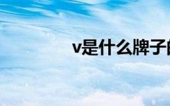 v是什么牌子的车（v是几）
