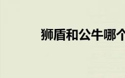 狮盾和公牛哪个好（狮盾陶瓷）