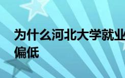 为什么河北大学就业率较高 但毕业生满意度偏低