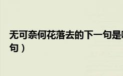 无可奈何花落去的下一句是哪一句（无可奈何花落去的下一句）
