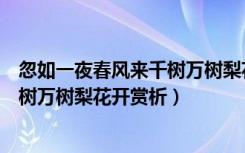 忽如一夜春风来千树万树梨花开啥意思（忽如一夜春风来千树万树梨花开赏析）