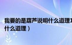 我要的是葫芦说明什么道理1018无标题（我要的是葫芦说明什么道理）