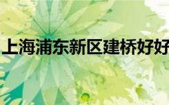 上海浦东新区建桥好好艺术幼儿园的地址在哪