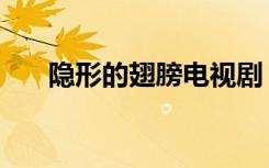 隐形的翅膀电视剧（隐形的翅膀伴奏）