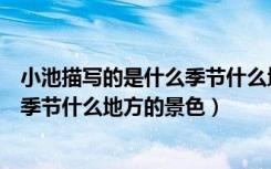 小池描写的是什么季节什么地方的景色（小池描写的是什么季节什么地方的景色）