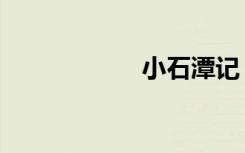 小石潭记（小石潭）