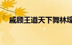 戚顾王道天下舞林壕杰（戚顾王道天下）