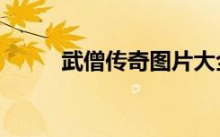 武僧传奇图片大全（武僧传家宝）