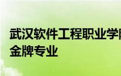 武汉软件工程职业学院九大学院集中推介隐形金牌专业