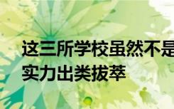 这三所学校虽然不是985 但是在专业领域的实力出类拔萃
