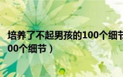 培养了不起男孩的100个细节免费下载（培养了不起男孩的100个细节）