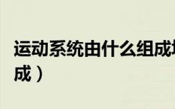 运动系统由什么组成填空（运动系统由什么组成）