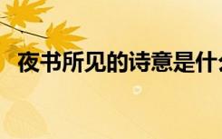 夜书所见的诗意是什么（夜书所见的诗意）