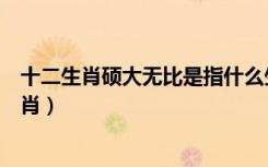 十二生肖硕大无比是指什么生肖（说它多大有多大是什么生肖）