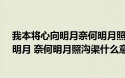 我本将心向明月奈何明月照沟渠是什么意思?（我本将心向明月 奈何明月照沟渠什么意思）