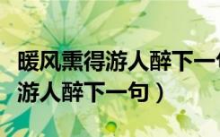 暖风熏得游人醉下一句是什么意思（暖风熏得游人醉下一句）