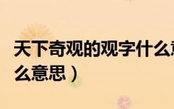 天下奇观的观字什么意思（天下奇观的观是什么意思）