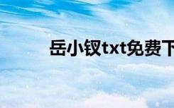 岳小钗txt免费下载（岳小钗txt）