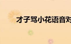 才子骂小花语音对话（才子骂小花）