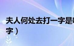 夫人何处去打一字是啥意思（夫人何处去打一字）
