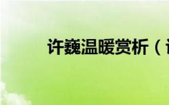 许巍温暖赏析（许巍温暖吉他谱）