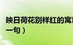 映日荷花别样红的寓意（映日荷花别样红的前一句）