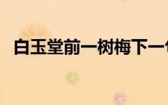 白玉堂前一树梅下一句（白玉堂前一树梅）