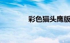 彩色猫头鹰版画的制作方法