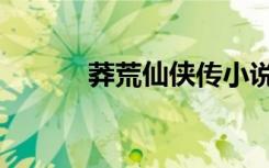 莽荒仙侠传小说（莽荒仙侠传）