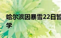 哈尔滨因暴雪22日暂停线下教学 进行线上教学