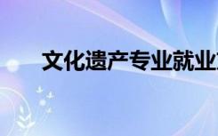 文化遗产专业就业方向 能做什么工作
