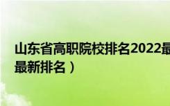 山东省高职院校排名2022最新排名（山东省大学排名2022最新排名）