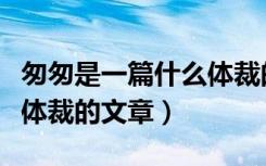 匆匆是一篇什么体裁的小说（匆匆是一篇什么体裁的文章）