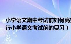 小学语文期中考试前如何高效复习（家长如何在家帮孩子进行小学语文考试前的复习）