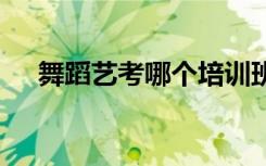 舞蹈艺考哪个培训班好 怎么选择培训班