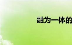融为一体的意思是什么