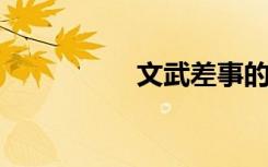 文武差事的意思是什么