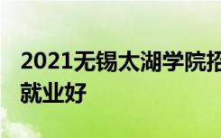 2021无锡太湖学院招生有哪些专业 什么专业就业好