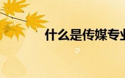 什么是传媒专业 什么是传媒？