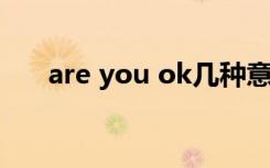 are you ok几种意思 中文翻译是什么